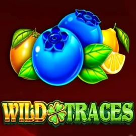 Play Wild Traces slot by Amusnet Interactive on jackpotcasino.com.pl